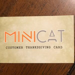 A Minicat crossbody bag- brand new never used!